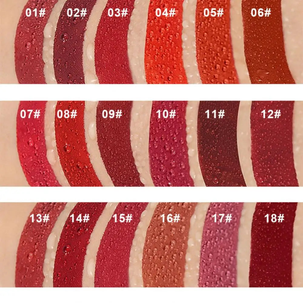 DNM Chocolate Matte Lip Gloss Color Moisture Velvet Lip Tint Lasting Non Stain Lipstick Moisturizing Cosmetics Makeup For Women